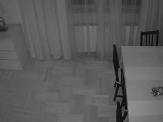 voyeurcam julmodels dining 2