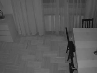 voyeurcam julmodels dining 2