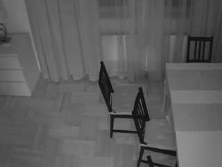 voyeurcam julmodels dining 2