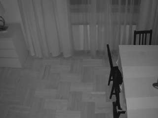 voyeurcam-julmodels-dining-2