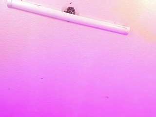 marie-harper webcam