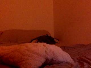 laura-d live cam profile