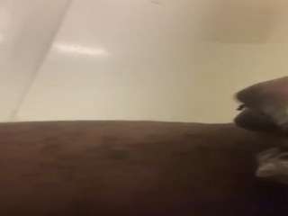 ljhenson88 Live Webcam on CamSoda