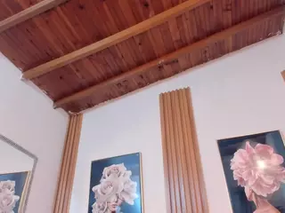 Shantal-Exotic's Live Sex Cam Show