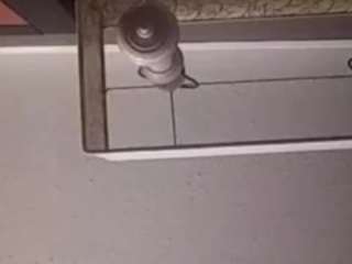 fmpparis304 Porn