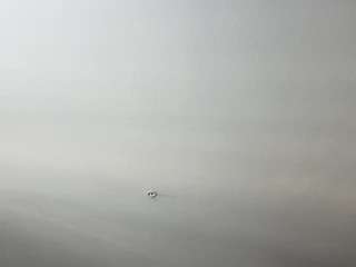 whitneyoc webcam