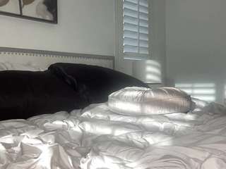 whitneyoc Live Webcam on CamSoda