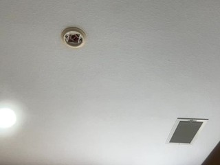 whitneyoc webcam
