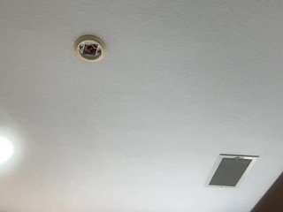 whitneyoc webcam