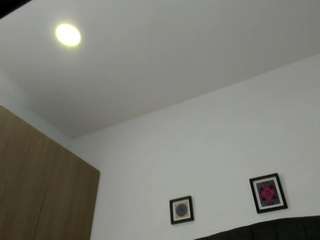 michell-22 webcam model