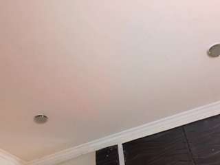 ladiabla2000 webcam model