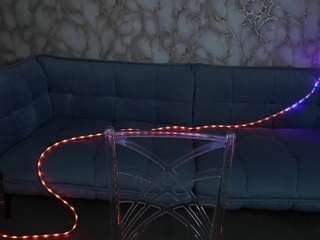 RosieMoons live webcam on Soda Cams