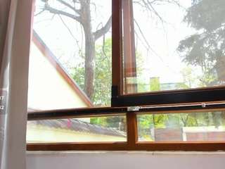 awesome-jolie webcam