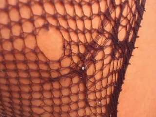 madyson-ler webcam