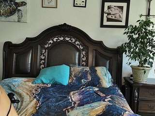 ihacoebrae Live Webcam on CamSoda