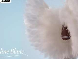 Avalineblanc
