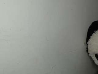 golden1temptation webcam