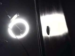 carmensavage webcam model