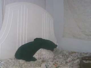 Carmen Savage live cam preview