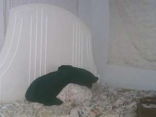 Carmen Savage live cam preview