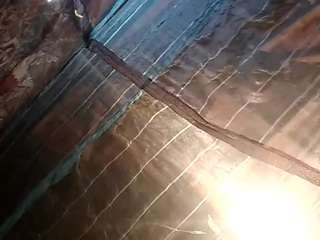 umashankarconsequence