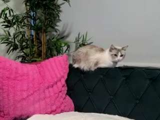 Miss Luna Rae