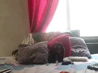 kaily-pearty