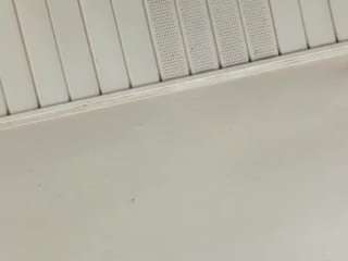 tunnookie Live Webcam on CamSoda