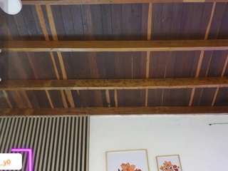 lillydollss Live Webcam on CamSoda