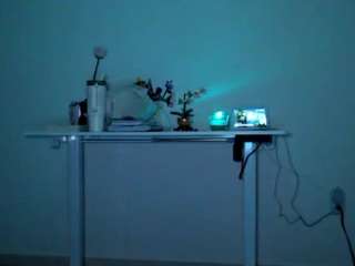 magix333 webcam