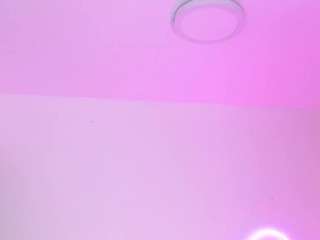 joycethompson webcam
