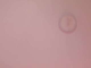 sexy adult videos roulette sexy chat