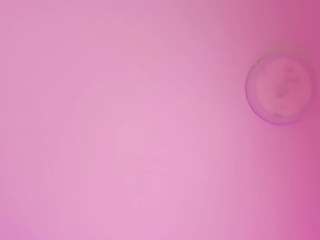 joycethompson Live Webcam on CamSoda