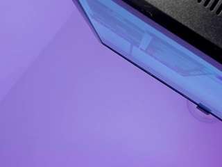 joycethompson webcam