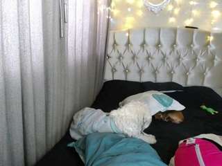 sophiedrems Live Webcam on CamSoda