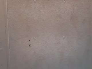 1maybeck Live Webcam on CamSoda