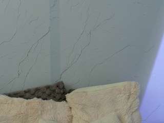addell3 Sex Cam Show