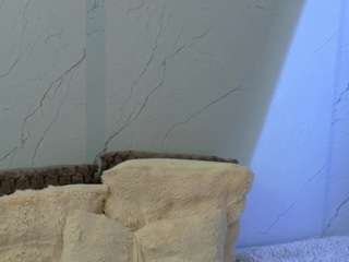 addell3 live cam preview