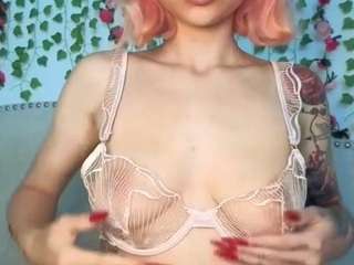 xoxcat live webcam show