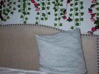 xoxcat live cam preview