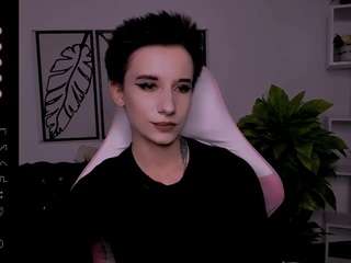 reinramm webcam