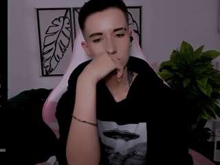 reinramm webcam