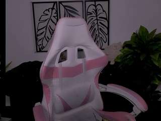 reinramm webcam