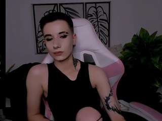 reinramm webcam