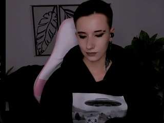 reinramm webcam