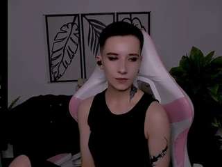 reinramm webcam