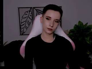 reinramm webcam
