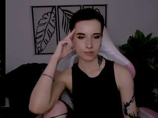 reinramm webcam model