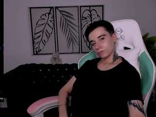 reinramm webcam