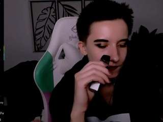 reinramm webcam model
